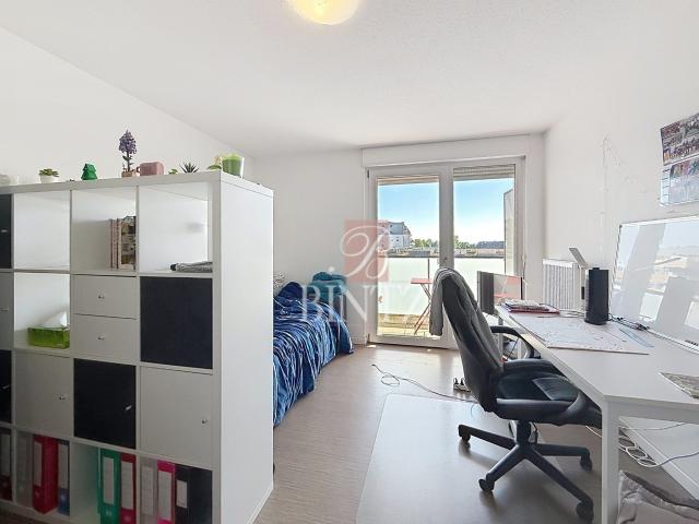 Location Appartement 1 pièce 24m² STRASBOURG 67100