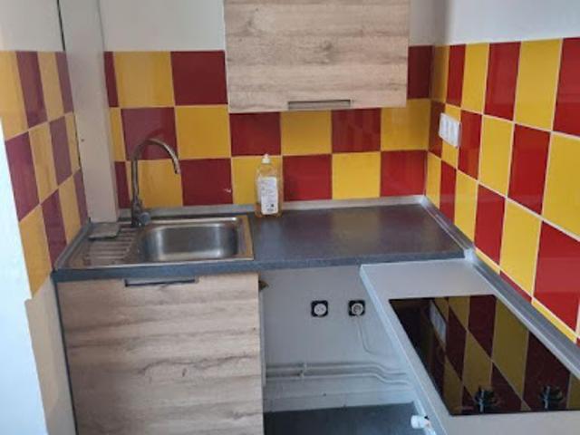 Location Appartement 1 pièce 25 m2 Lyon 3ème