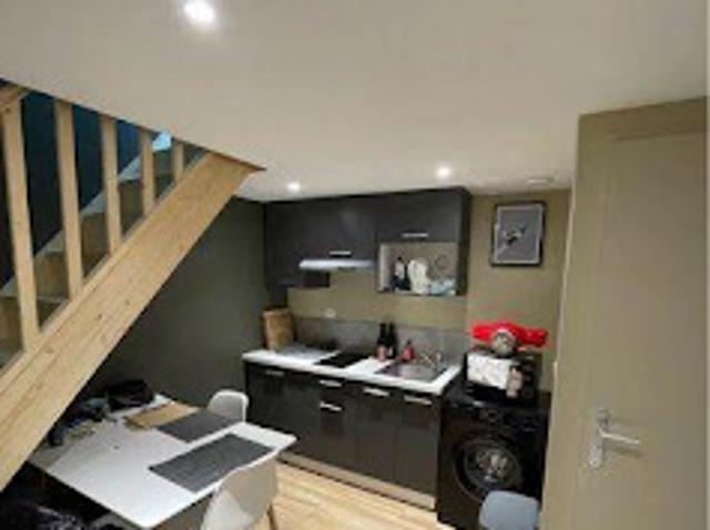 Location Appartement 1 pièce 25 m2 Lyon 7ème