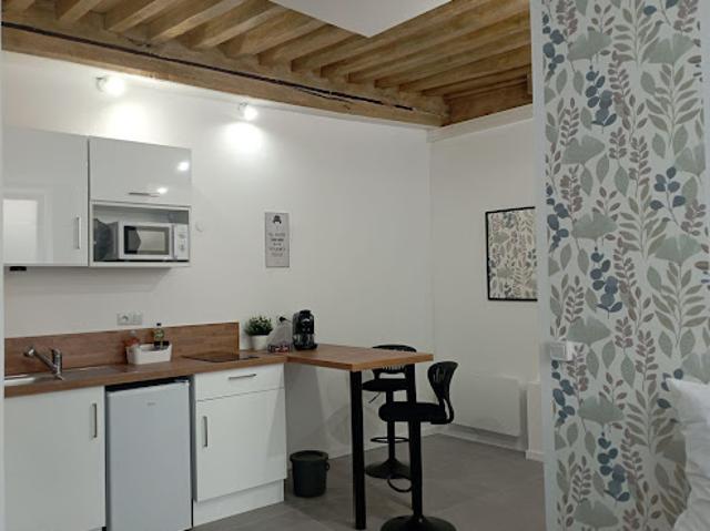 Location Appartement 1 pièce 25 m2 Roanne