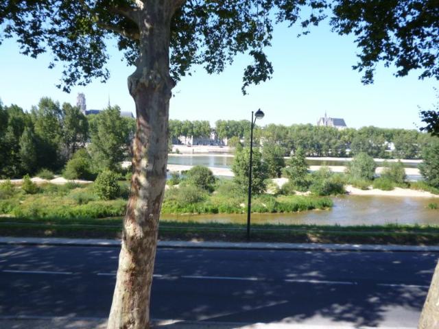 Location Appartement 1 Pièce 25 m²