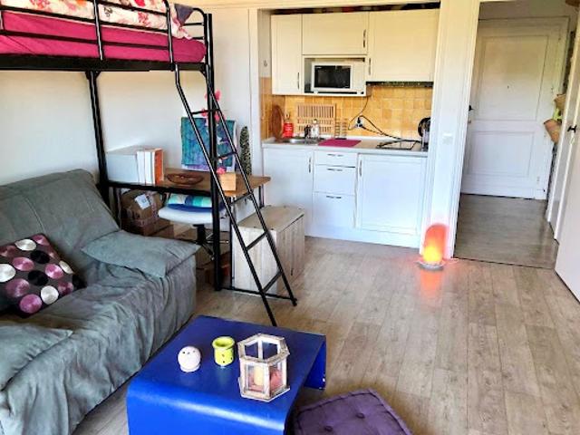 Location Appartement 1 pièce 26 m2 Villeneuve Loubet