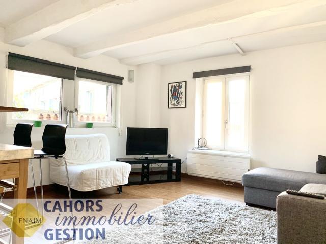 Location Appartement 1 pièce 25m² CAHORS 46000