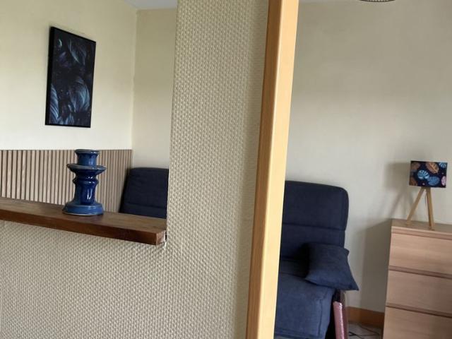 Location Appartement 1 pièce 25m² ORLEANS 45100