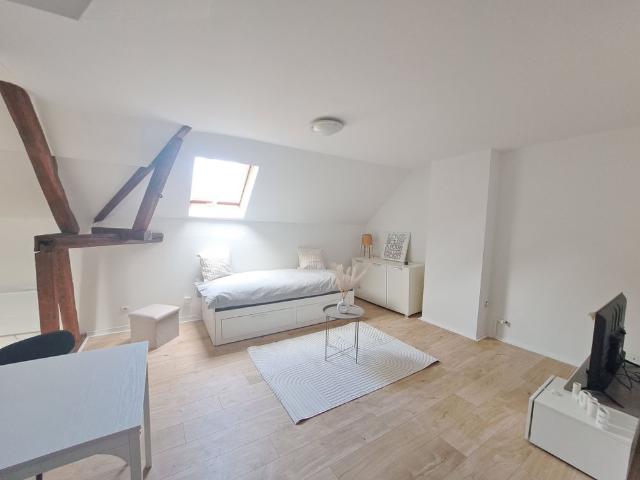 Location Appartement 1 pièce 25m² STE SAVINE 10300