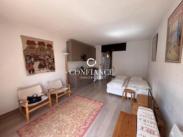 Location Appartement 1 pièce 26.85 m2 Saint Etienne de Tinée