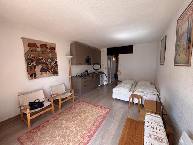 Location Appartement 1 pièce 26.85 m2 Saint Etienne de Tinée
