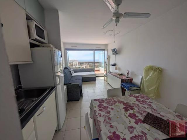 Location Appartement 1 pièce 27 m2 Antibes