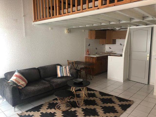 Location Appartement 1 pièce 27 m2 Lyon 1er
