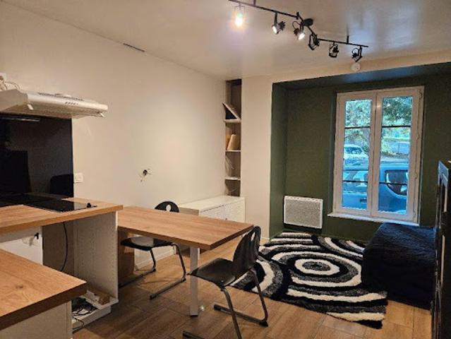 Location Appartement 1 pièce 27 m2 Saint Etienne