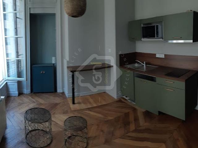 Location Appartement 1 pièce 27.45 m2 Lyon 1er