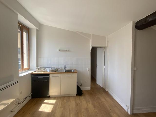 Location Appartement 1 pièce 27m² LYON 4ème