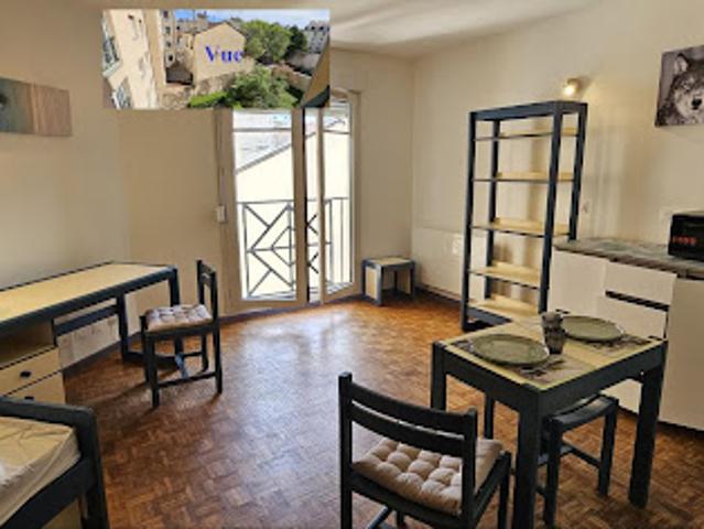 Location Appartement 1 pièce 28 m2 Lyon 7ème
