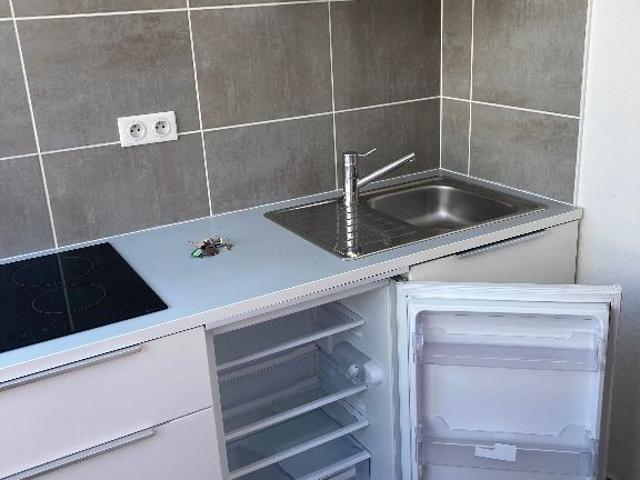 Location Appartement 1 pièce 28m²
