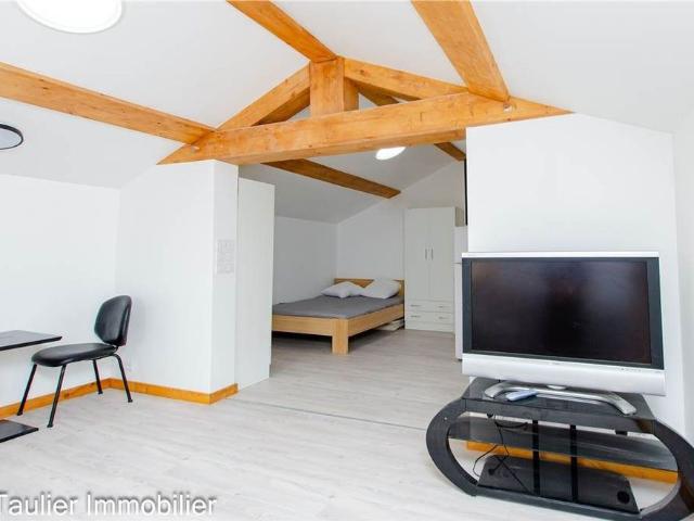 Location Appartement 1 pièce 28m² CHATTE 38160