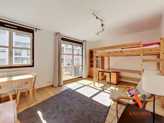 Location Appartement 1 pièce 28m² GRENOBLE 38000