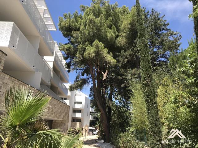 Location Appartement 1 pièce 28m² MONTPELLIER 34000