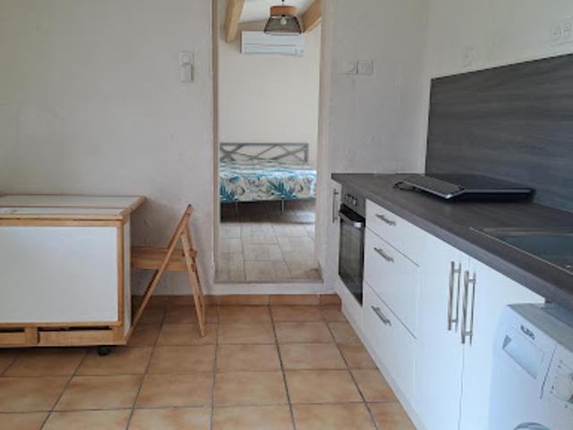 Location Appartement 1 pièce 29 m2 Milhaud