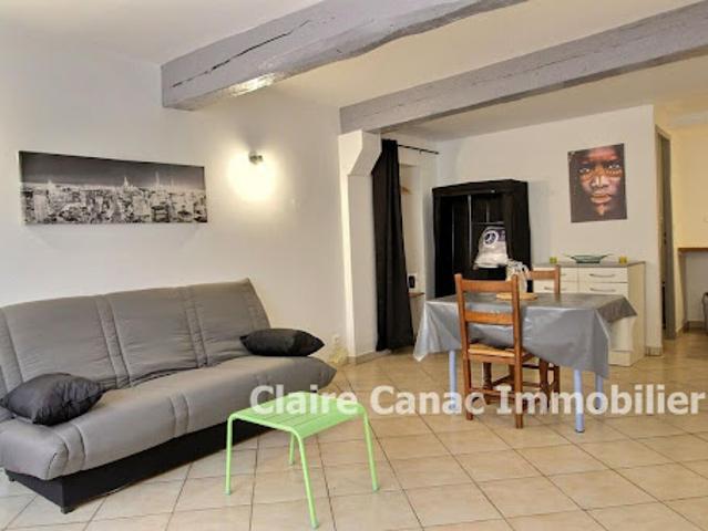 Location Appartement 1 pièce 29 m2 Lavaur