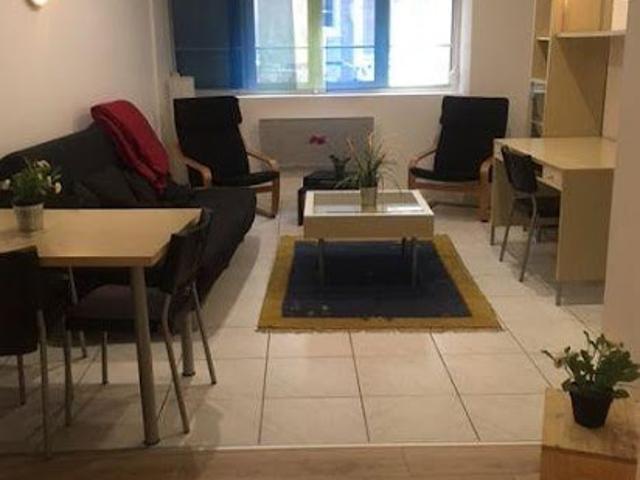 Location Appartement 1 pièce 29 m2 Strasbourg