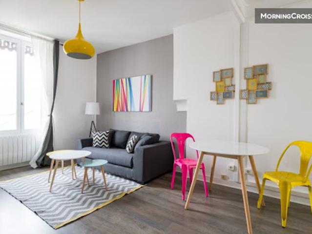 Location Appartement 1 pièce 29 m2 Villeurbanne