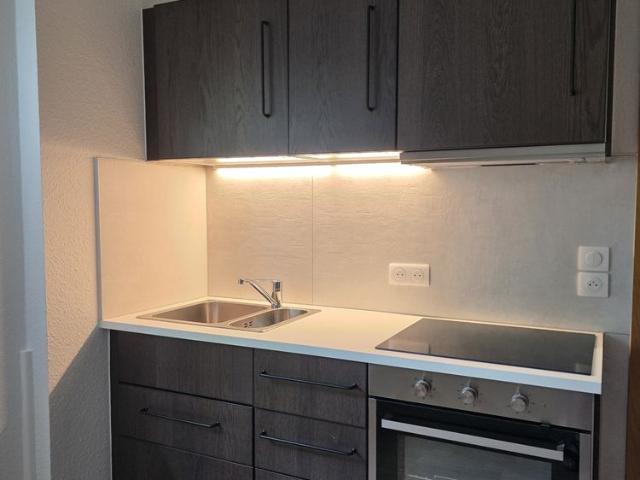 Location Appartement 1 pièce 29m² WISSEMBOURG 67160
