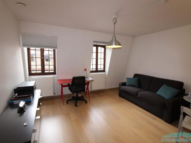 Location Appartement 1 pièce 29m² STRASBOURG 67000
