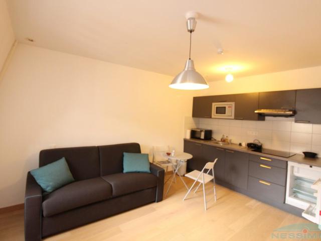 Location Appartement 1 pièce 29m² STRASBOURG 67000