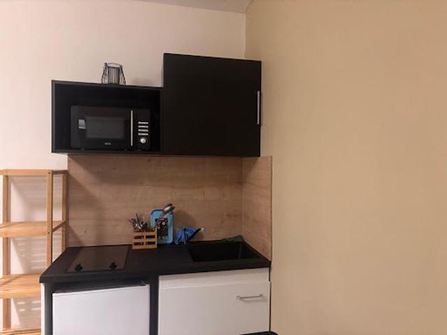 Location Appartement 1 pièce 20 m2 Lyon 7ème
