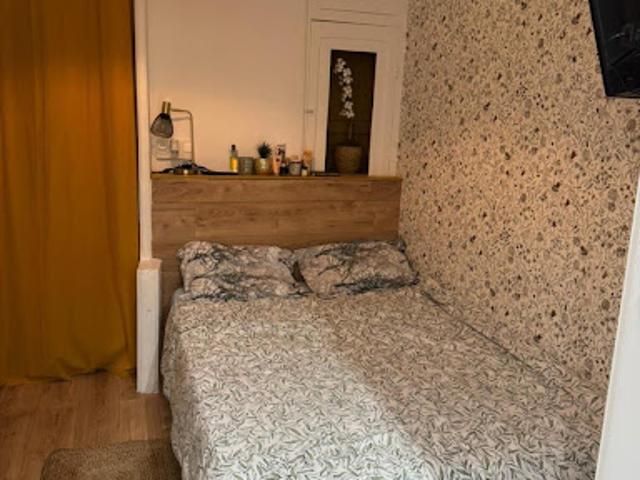 Location Appartement 1 pièce 20 m2 Roubaix