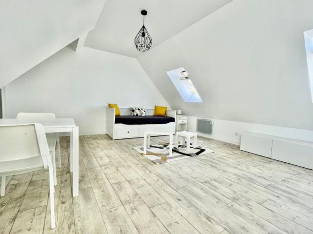 Location Appartement 1 Pièce 20 m² Meublé