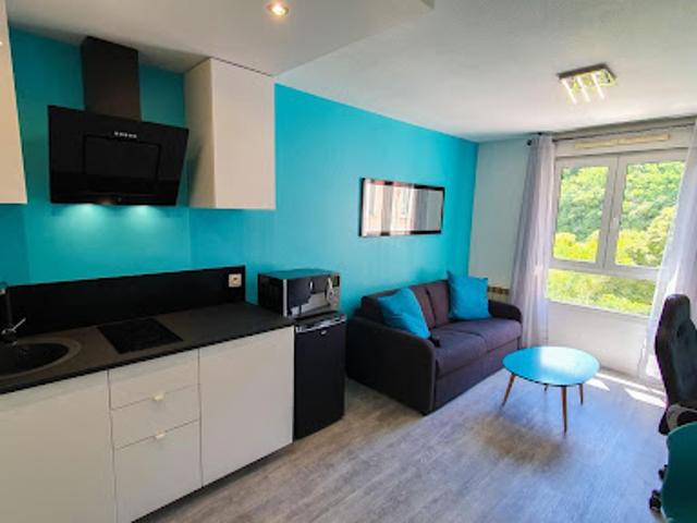 Location Appartement 1 pièce 20.58 m2 Lyon 4ème