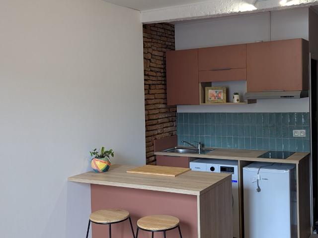 Location Appartement 1 pièce 20m² TOULOUSE 31000