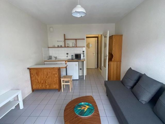 Location Appartement 1 pièce 20m² GRENOBLE 38000