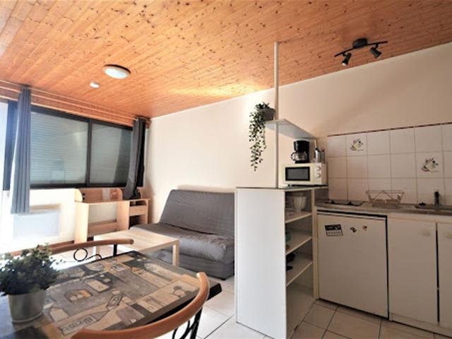 Location Appartement 1 pièce 21 m2 Pau