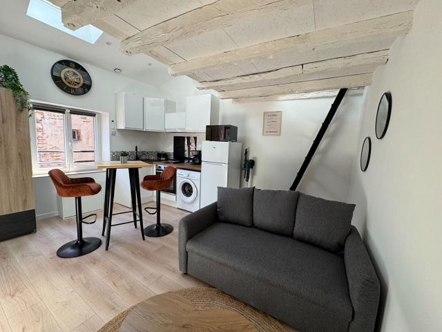 Appartement 1 pièce Gaillac 21.13m² 580€ à louer