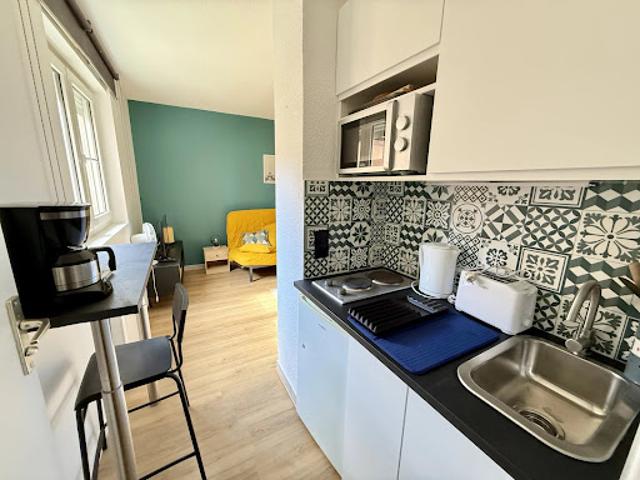 Location Appartement 1 pièce 21.2 m2 Grenoble