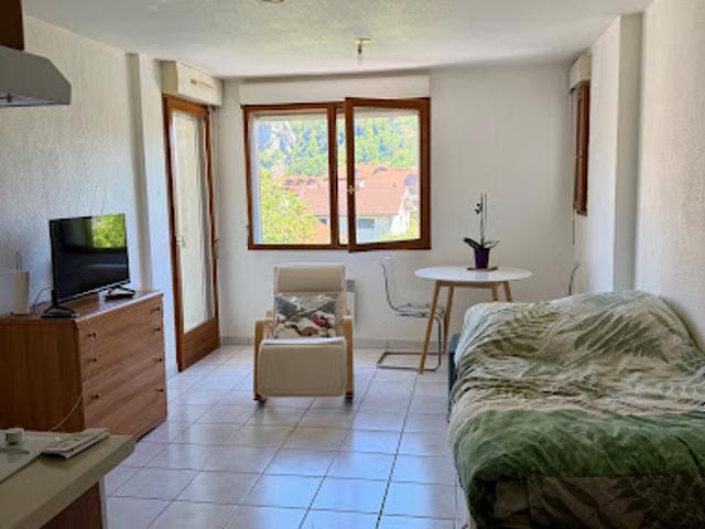 Location Appartement 1 pièce 21.69 m2 Thônes