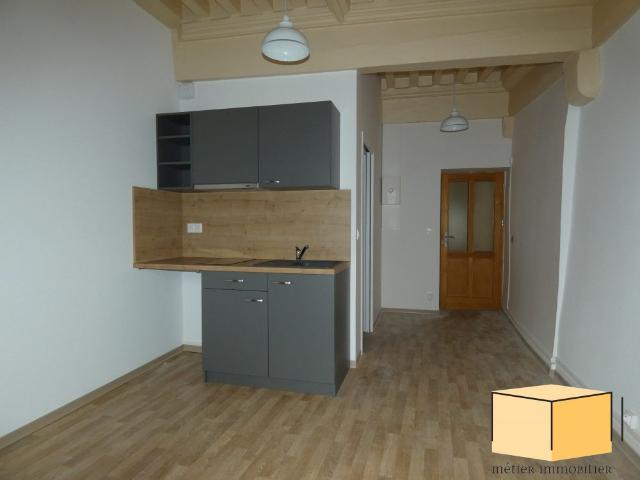 Location Appartement 1 pièce 21m² BELLEY 01300