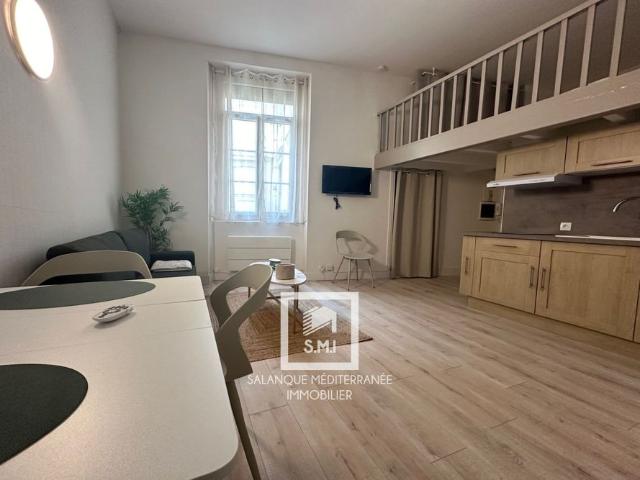 Location Appartement 1 pièce 21m² PERPIGNAN 66000