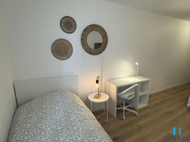 Location Appartement 1 pièce 21m² SCHILTIGHEIM 67300