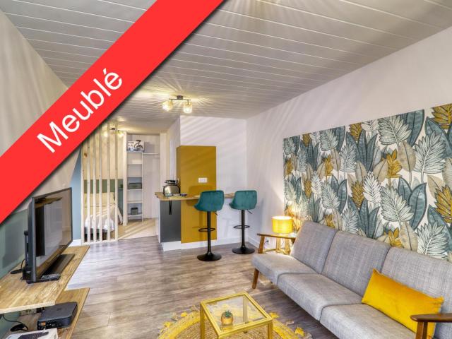 Location Appartement 1 pièce 22m² CLERMONT FERRAND 63000