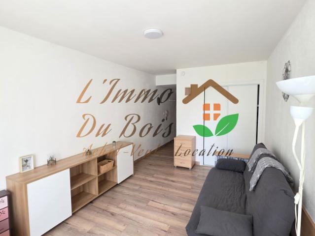 Location Appartement 1 pièce 22m² LE PEAGE DE ROUSSILLON 38550