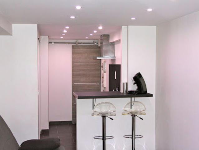 Location Appartement 1 pièce 23 m2 Lyon 1er
