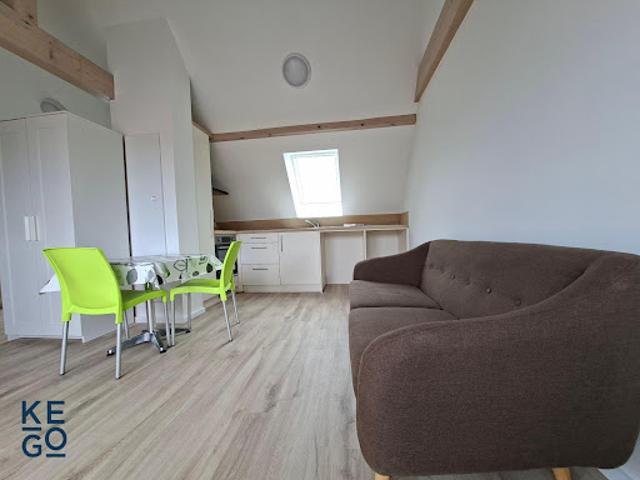 Location Appartement 1 pièce 23.45 m2 Saverne