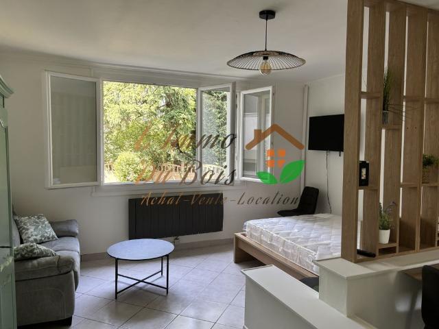 Location Appartement 1 pièce 35m² ROUSSILLON 38150