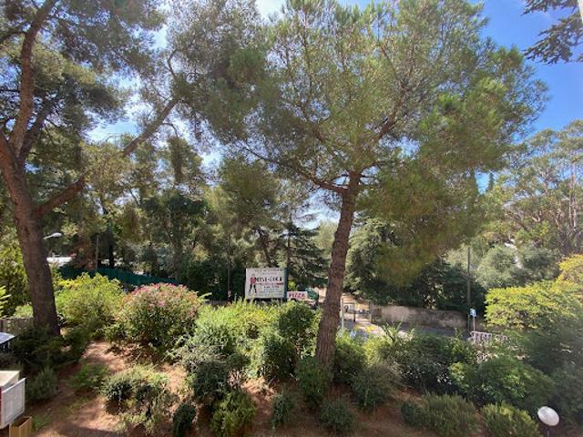 Location Appartement 1 pièce 36 m2 Nice