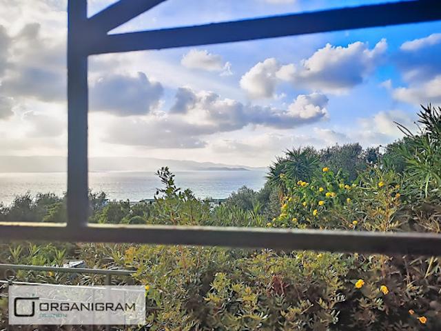 Location Appartement 1 pièce 36.8 m2 Ajaccio