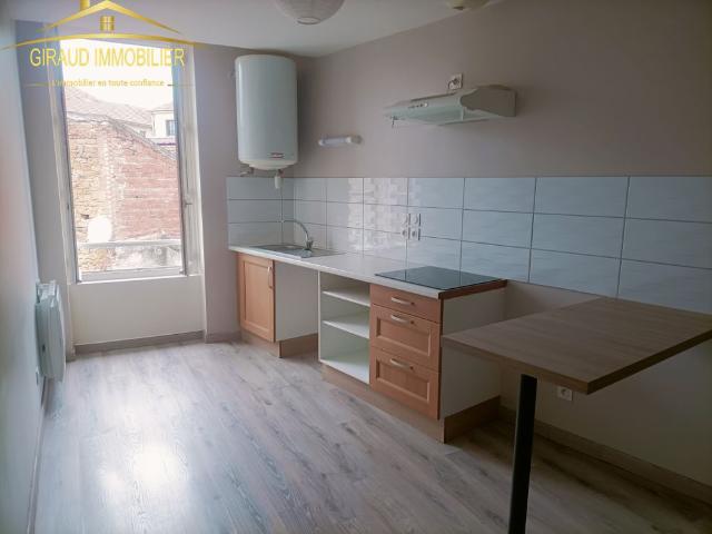 Location Appartement 1 pièce 36m² CHARLIEU 42190