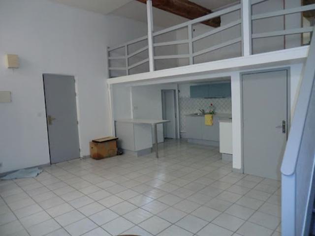 Location Appartement 1 pièce 37 m2 Lyon 4ème